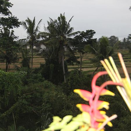Ogek Home Stay Ubud Zewnętrze zdjęcie
