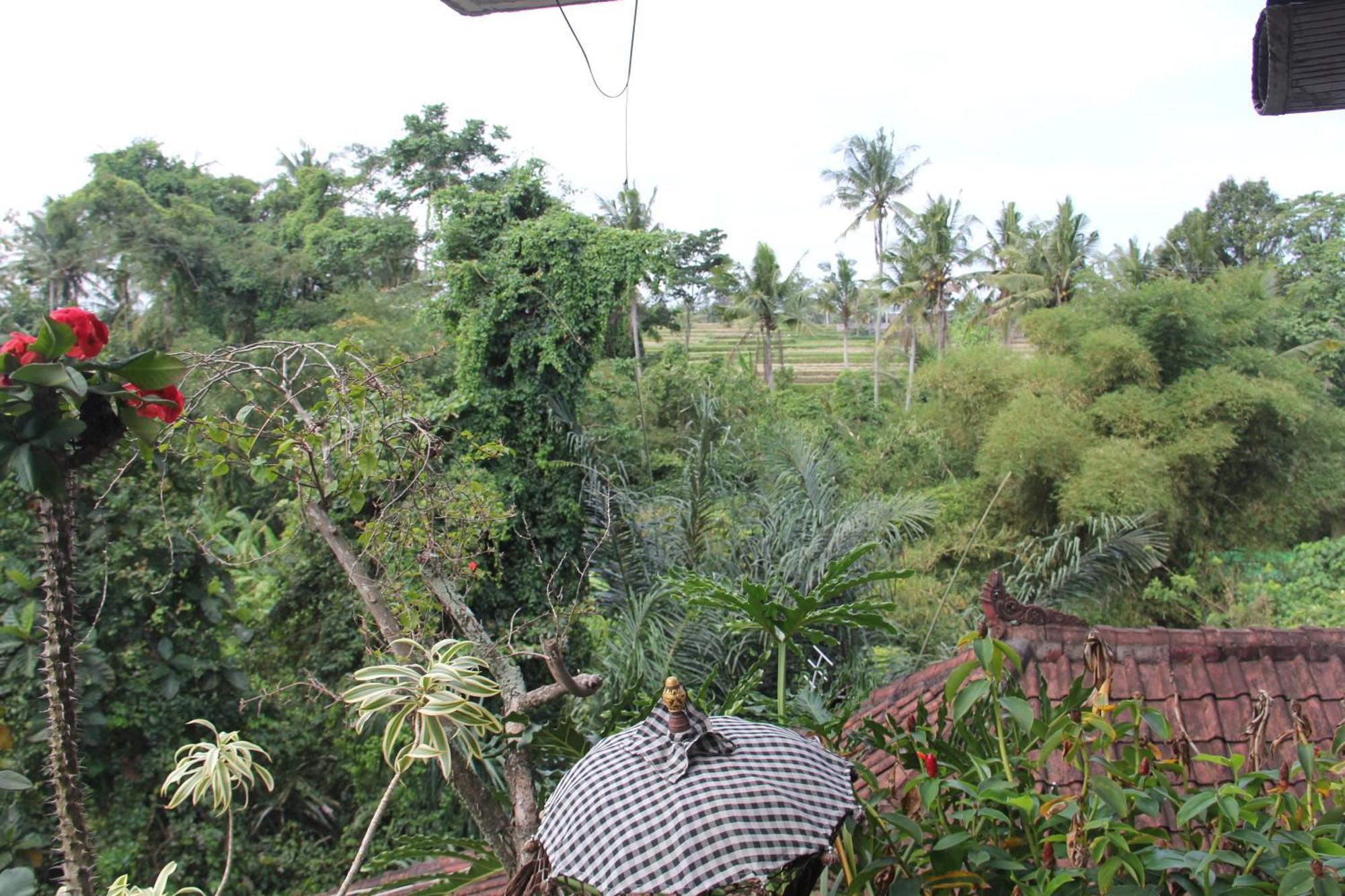 Ogek Home Stay Ubud Zewnętrze zdjęcie